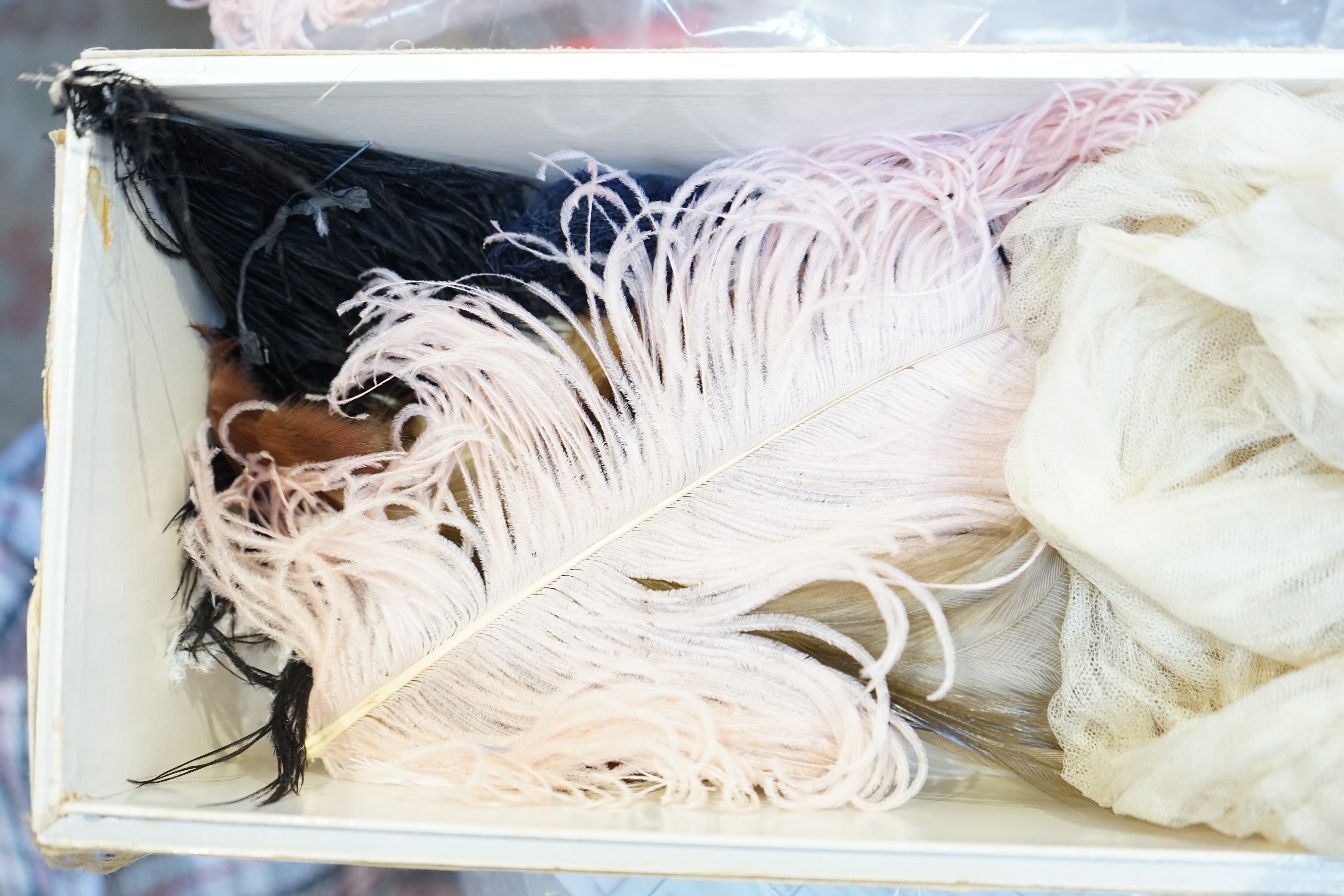 A selection of feathers, including head dress and veil for presentation at Court (in period box).